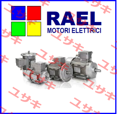 RAEL MOTORI ELETTRICI