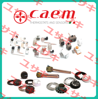 C.A.E.M. srl