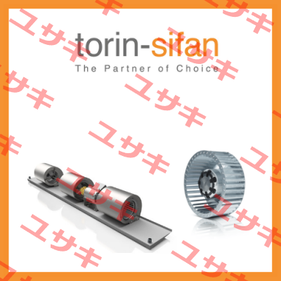 Torin-Sifan