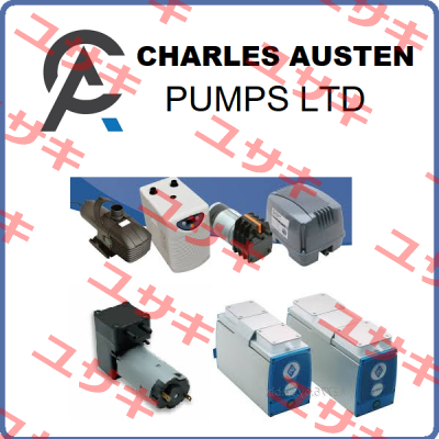 Charles Austen Pumps