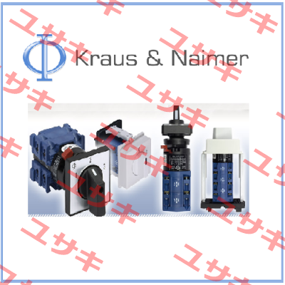 CA10 A230 -600 EF  Kraus & Naimer