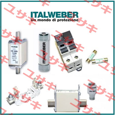 0107315  Italweber