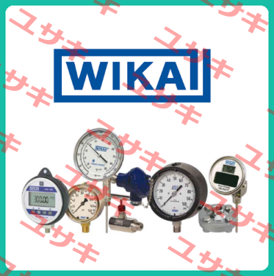 233.50 Pressure Gauge  Wika