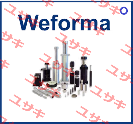 LDS-50-550-FVFH-NV-10813  Weforma