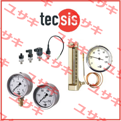 P2329B544006  Tecsis (WIKA Group)