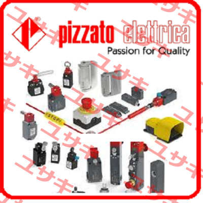 FD 502-1GM2  Pizzato Elettrica