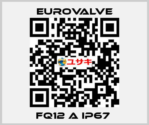 FQ12 A IP67  Eurovalve