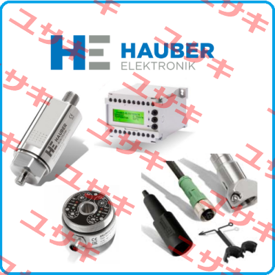 Typ HE100.01.16.01.00.00.050 HAUBER