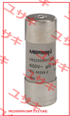 FR22GG50V100P (T217183) Mersen