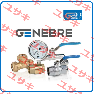 1/2" AUTOMATIC AIR VENT (70037 04 02) Genebre