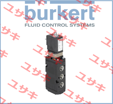 278231 Burkert