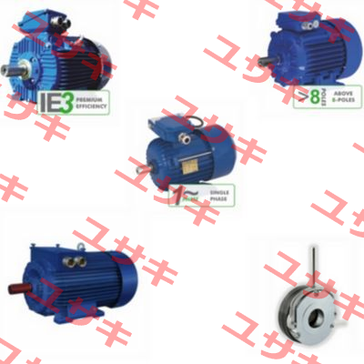 3SIE 160L-4+PT100 in the windingIEC160 (C11) Cantoni