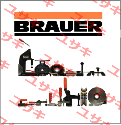 K0087.1200  Brauer