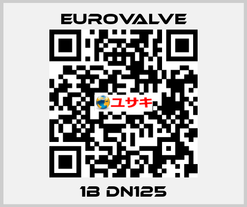 1B DN125 Eurovalve