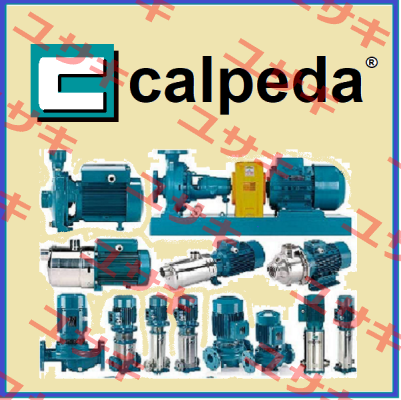 2016559028 Calpeda