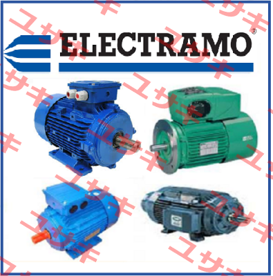 1RJ180M-4/8 - 18,5/4,50kW - 1470/730 rpm - 400V Electramo