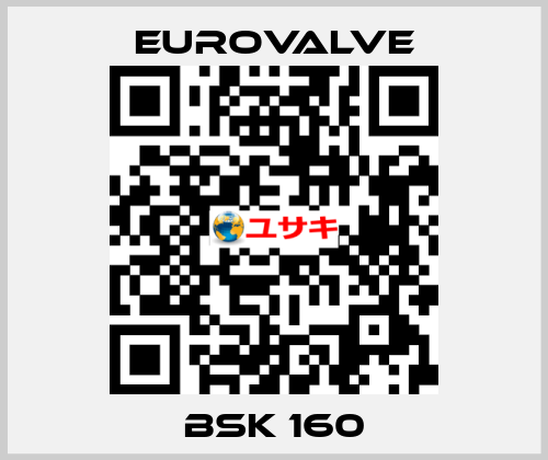 BSK 160 Eurovalve