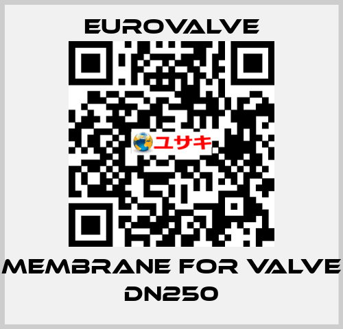 membrane for valve DN250 Eurovalve