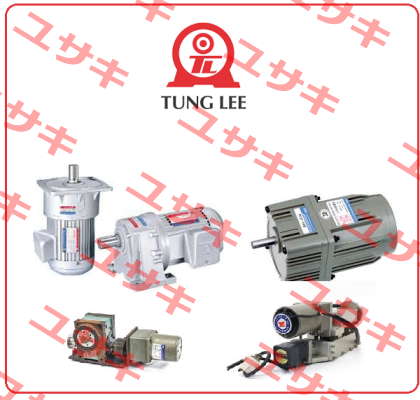 51K40GN-S4-T-Y1 TUNG LEE