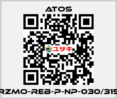 RZMO-REB-P-NP-030/315 Atos