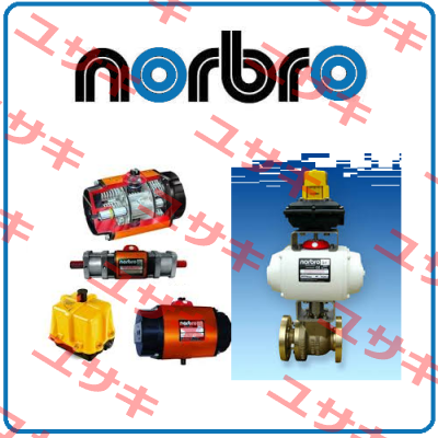 Repair kit for 15-RDB40-1SD1E0-D Norbro