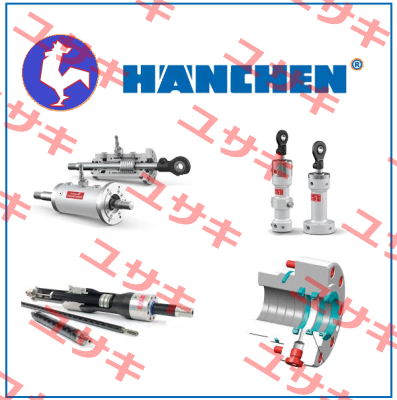 S131243 Hanchen