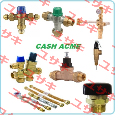 FP53L  Cash Acme