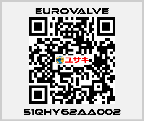 51QHY62AA002 Eurovalve