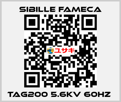 TAG200 5.6KV 60HZ  Sibille Fameca