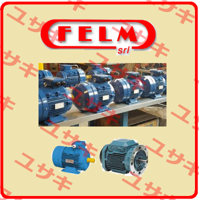 HD09-FM-4840413 (Y2D180L-4/8) Felm