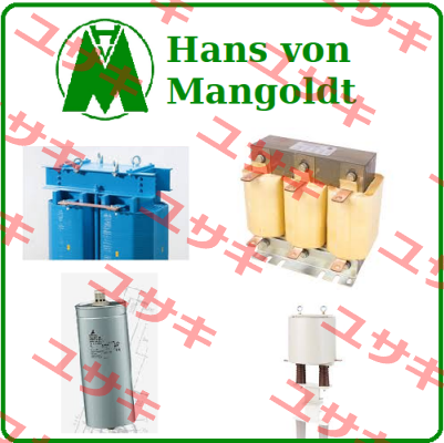 400250189 Hans von Mangoldt