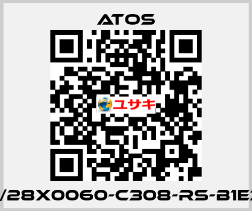 CK-40/28X0060-C308-RS-B1E3X1Z3 Atos