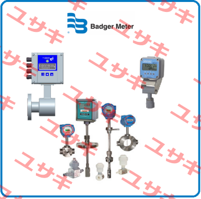 M2000 (6") Badger Meter