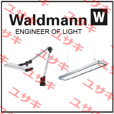 RFF600/850/DS / 113184000-00680272 Waldmann