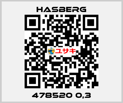 478520 0,3 Hasberg