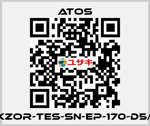 DKZOR-TES-SN-EP-170-D5/FI Atos