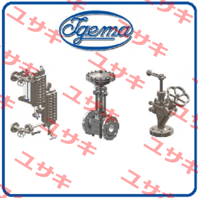 TYPE: AV5500 Igema