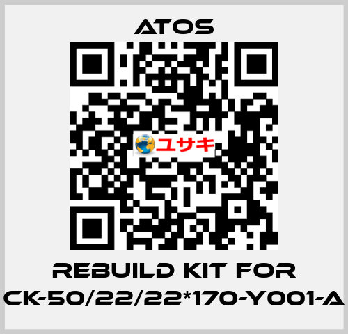 rebuild kit for CK-50/22/22*170-Y001-A Atos