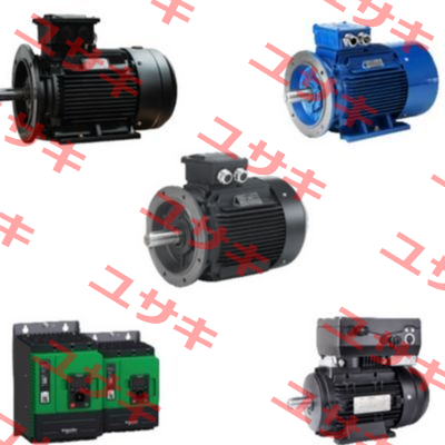 200L1-6/N-22 KW Hoyer Motors