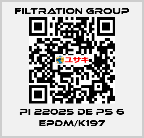 PI 22025 DE PS 6 EPDM/K197 Filtration Group