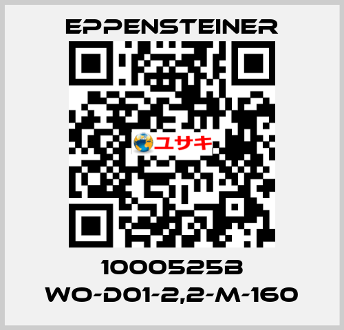 1000525B WO-D01-2,2-M-160 Eppensteiner