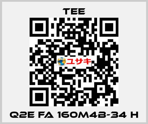 Q2E FA 160M4B-34 H TEE