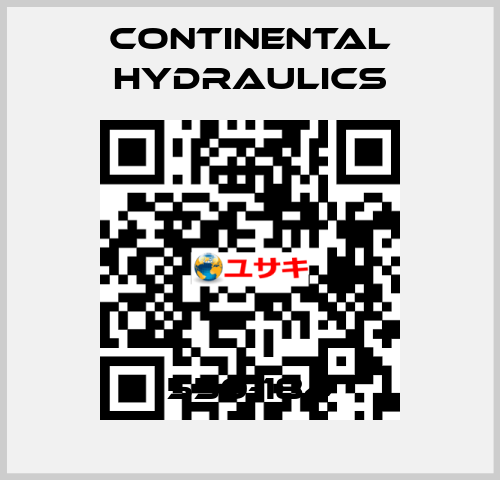 550-184 Continental Hydraulics