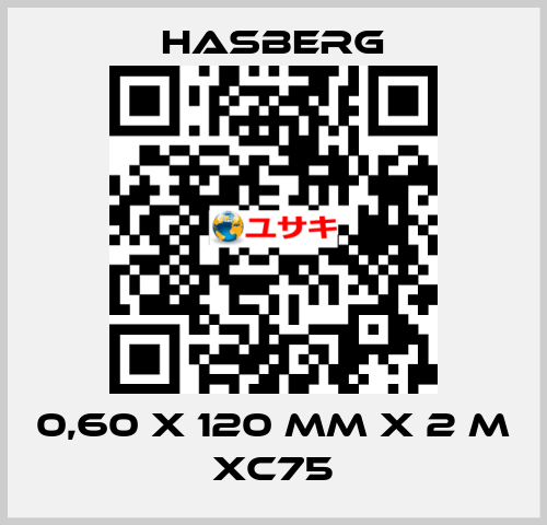 0,60 X 120 MM X 2 M XC75 Hasberg