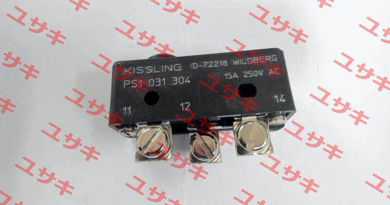 PS1 031 304 Kissling