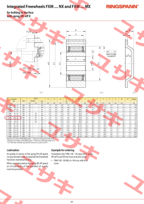 P/N: 4867-066300-040H33, Type: FXM 66-25 NX Ringspann