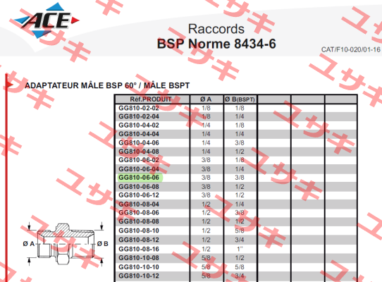 GG810-06-06 Aeroquip