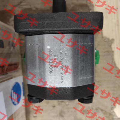 11055 / 1G8CDE10R Roquet pump