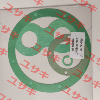 Set of gaskets  4810014965 Varisco pumps