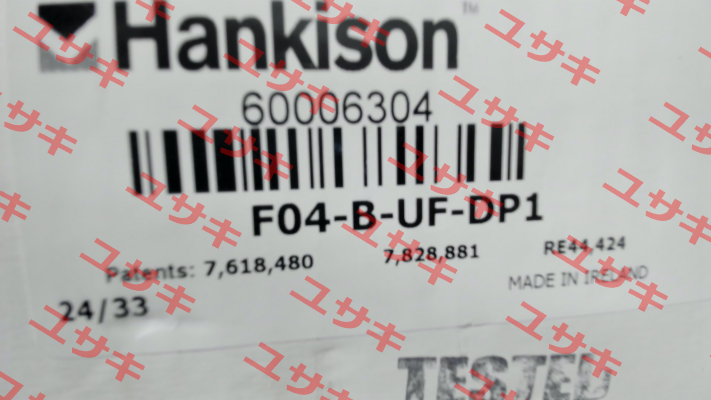 F04-B-UF-DP1 / HA-60006304 Hankison